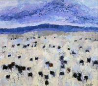 Visions West Gallery :: Bruce :: Stillwater Angus #5