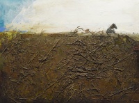 Visions West Gallery :: Bruce :: Of This Earth