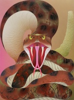 Visions West Gallery :: Bruce :: Rattlesnake