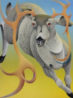 Visions West Gallery :: Bruce :: Stag