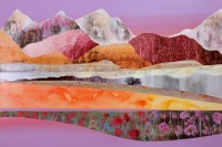 Visions West Gallery :: Bruce :: Purple Sweetness