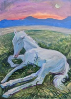 Visions West Gallery :: Bruce :: Asleep in the Light of the Subtle Moon