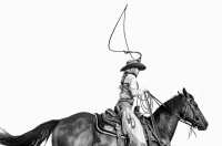 Visions West Gallery :: Bruce :: Montana Cowgirl