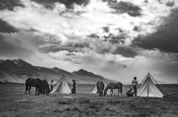 Visions West Gallery :: Bruce :: Teepee