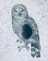 Visions West Gallery :: Bruce :: Owl Eclipse 1