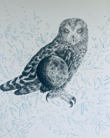 Visions West Gallery :: Bruce :: Owl Eclipse 2