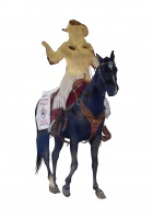 Visions West Gallery :: Bruce :: Miss Frontier Lady-in-Waiting 2