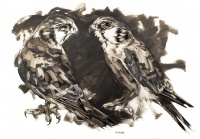 Visions West Gallery :: Bruce :: Phil and Kirsten