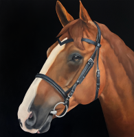 Visions West Gallery :: 1 local-wildlife Robin :: Dorado