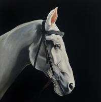 Visions West Gallery :: 1 local-wildlife Robin :: Ghost