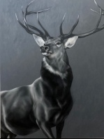 Visions West Gallery :: Bruce :: Stag (after Landseer)