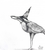 Visions West Gallery :: Bruce :: Bird with Party Hat