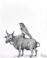 Visions West Gallery :: Bruce :: Cow with Perched Bird