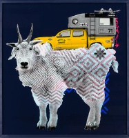 Visions West Gallery :: Bruce :: Bon Ton