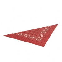 Visions West Gallery :: Bruce :: Bandana (View 03)