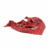 Visions West Gallery :: Bruce :: Bandana (View 05)