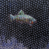 Visions West Gallery :: Bruce :: Animal Painting 020-1869