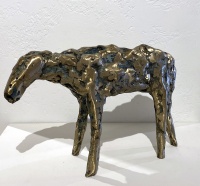 Visions West Gallery :: Bruce :: Barjo