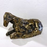 Visions West Gallery :: Bruce :: Forrest II