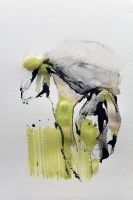 Visions West Gallery :: Bruce :: Equine Heart Chakra