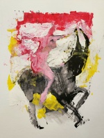 Visions West Gallery :: Bruce :: Long Eared Marwari Horse