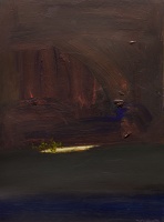 Visions West Gallery :: Bruce :: Shine In Silence