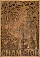 Visions West Gallery :: Bruce :: Hotel Now