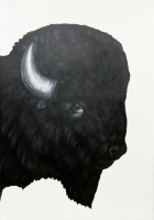Visions West Gallery :: Bruce :: Bison II