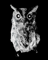 Visions West Gallery :: Bruce :: Eastern Screech (from Animal Land)