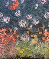 Visions West Gallery :: Bruce :: White-Tailed Deer