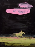 Visions West Gallery :: Bruce :: Visiting Pink Clouds