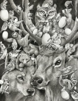 Visions West Gallery :: Bruce :: Animals and Eggs