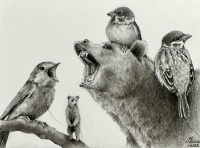 Visions West Gallery :: Bruce :: Birds and Bears