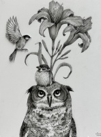 Visions West Gallery :: Bruce :: Owl with Birds