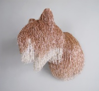 Visions West Gallery :: Bruce :: Shapeshifter(Mountain Lion)