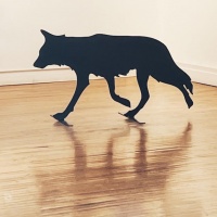 Visions West Gallery :: Bruce :: Running Mexican Wolf No. 1