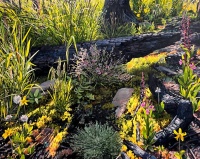 Visions West Gallery :: 1 benevolent-invaders Erika :: Celebration of Life