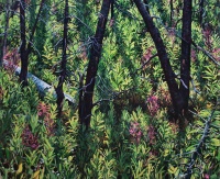 Visions West Gallery :: 1 benevolent-invaders Erika :: For Sore Eyes