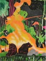 Visions West Gallery :: Bruce :: Nocturne 7