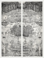 Visions West Gallery :: Bruce :: La delicada y fugaz liÌrica de los liÌquenes I