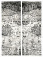 Visions West Gallery :: Bruce :: La delicada y fugaz liÌrica de los liÌquenes II