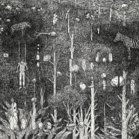 Visions West Gallery :: Bruce :: Ya no quedan refugios