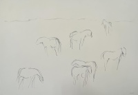 Visions West Gallery :: Bruce :: Amsterdam Horses Dr. #9