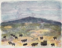 Visions West Gallery :: Bruce :: Gallatin Angus II, ed. 46 of 60