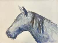 Visions West Gallery :: Bruce :: Horse Drawing #29