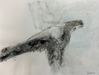 Visions West Gallery :: Bruce :: Piper's Bird Dr. #10