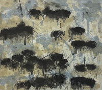 Visions West Gallery :: Bruce :: San Francisco Angus