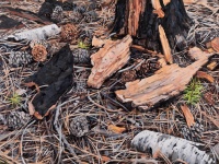 Visions West Gallery :: 1 benevolent-invaders Erika :: After the Midwife Comes