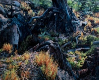 Visions West Gallery :: 1 benevolent-invaders Erika :: Subterranean Stitchery