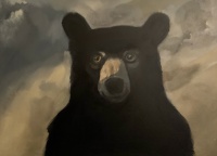 Visions West Gallery :: Bruce :: New Sun V